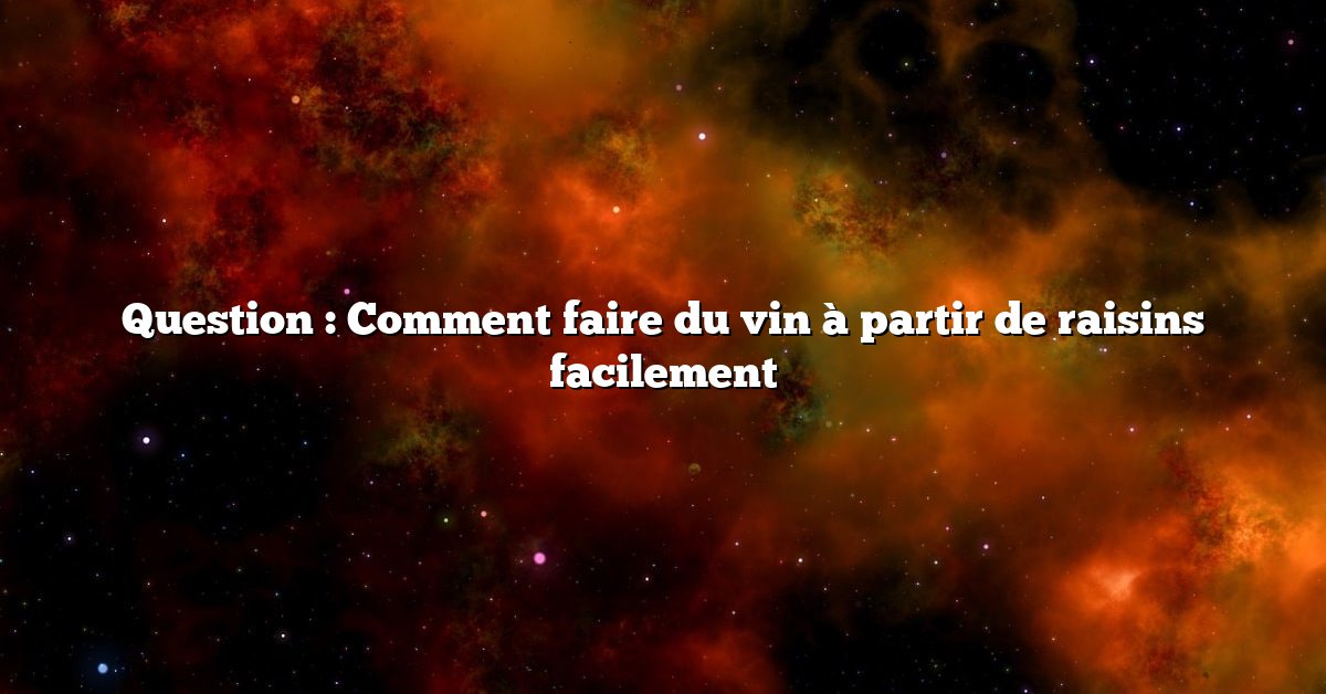 Question : Comment faire du vin à partir de raisins facilement